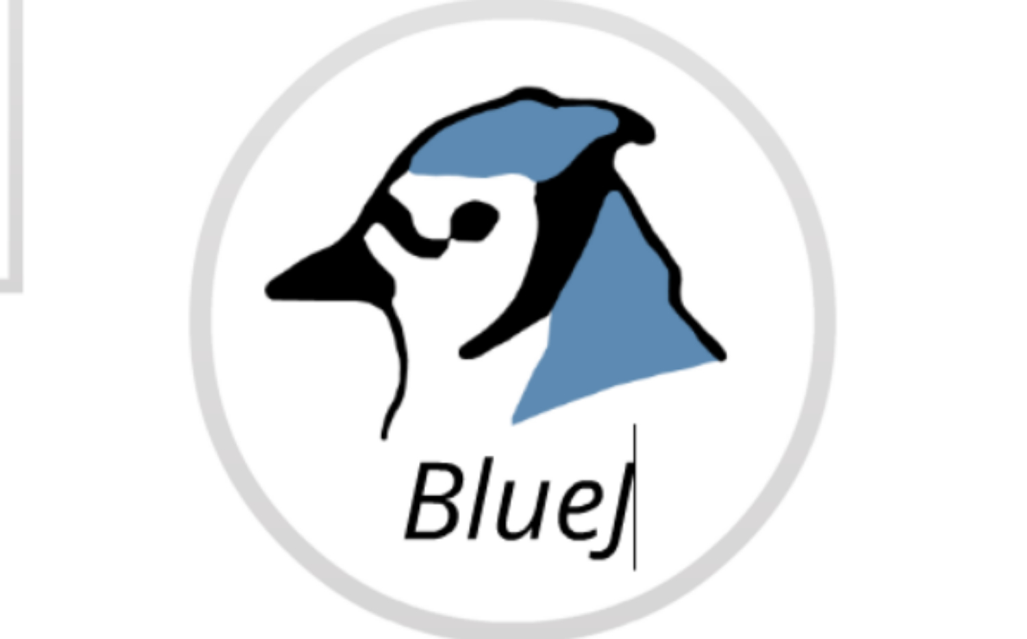 BlueJ