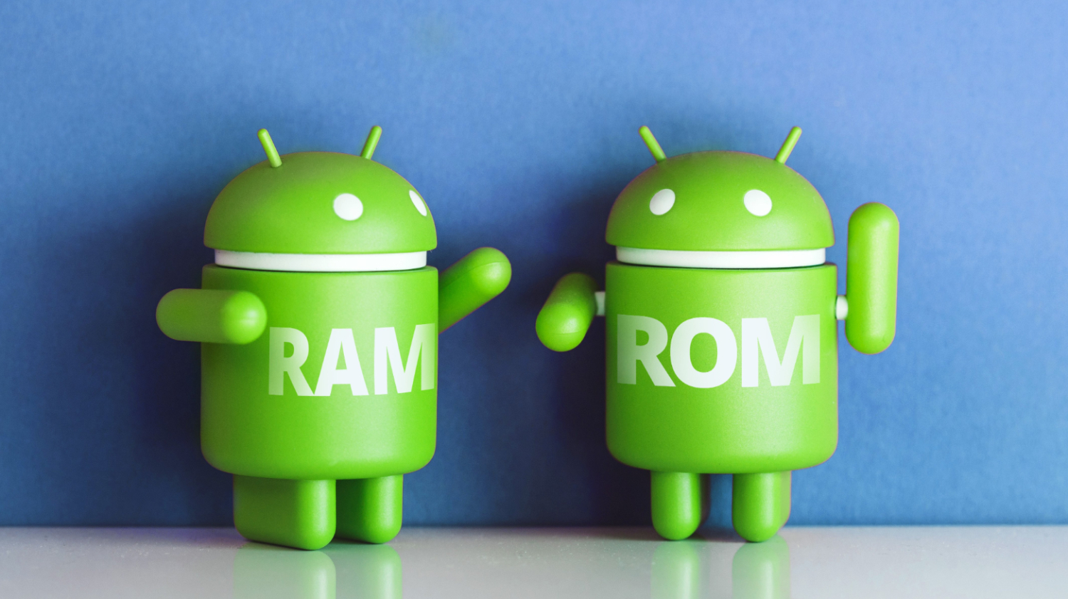 RAM or ROM