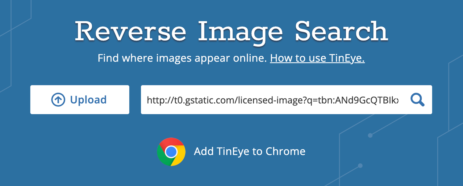 use reverse image search