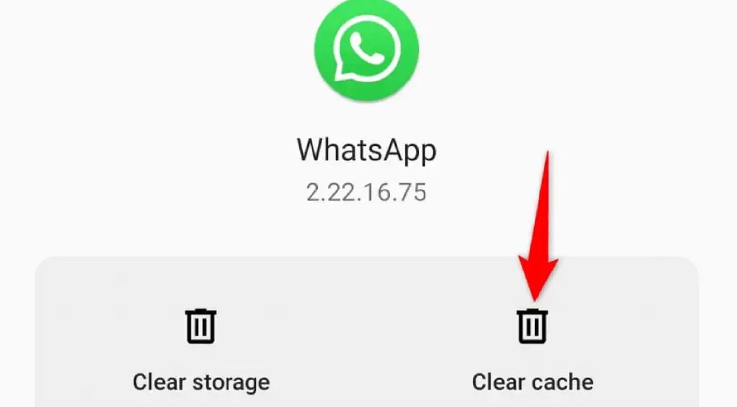 whatsapp cache